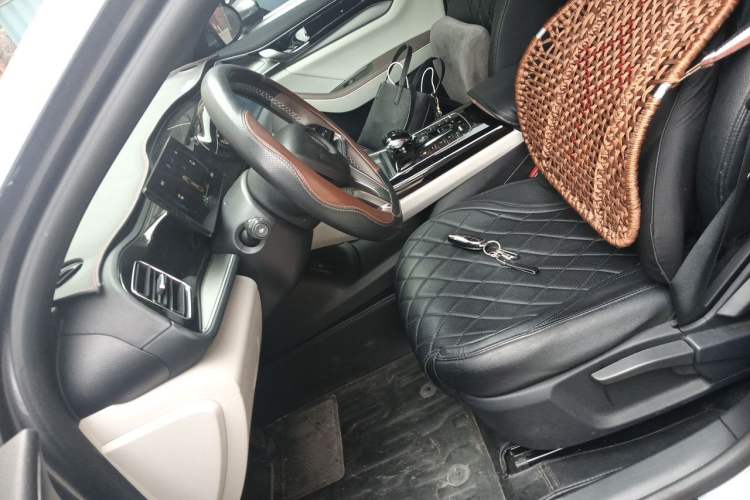 Used BYD Qin PLUS 2023 Champion Edition EV 420KM Leading Model Left Front Seat