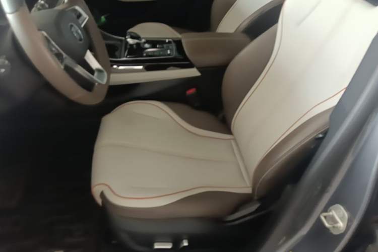 Used BYD Qin PLUS 2023 Champion Edition DM-i 120KM Excellence Model Left Front Seat