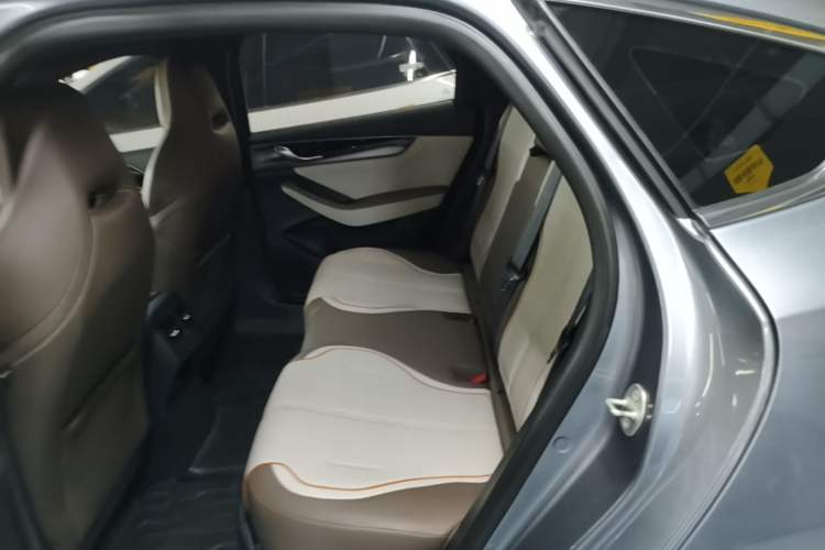 Used BYD Qin PLUS 2023 Champion Edition DM-i 120KM Leading Model Left Rear Seat