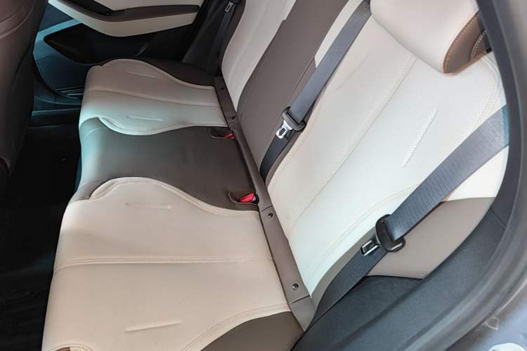 Used BYD Qin PLUS 2023 Champion Edition DM-i 55KM Leading Model Left Rear Seat