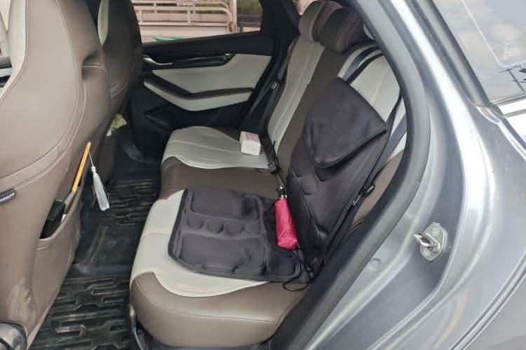 Used BYD Qin PLUS 2023 Champion Edition DM-i 55KM Leading Model Left Rear Seat