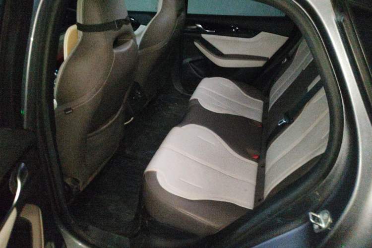 Used BYD Qin PLUS 2023 Champion Edition DM-i 55KM Leading Model Left Rear Seat