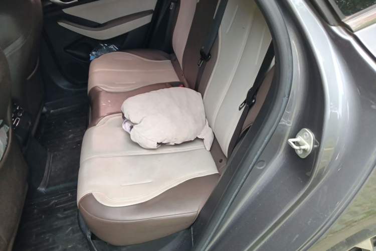 Used BYD Qin PLUS 2023 Champion Edition DM-i 55KM Leading Model Left Rear Seat