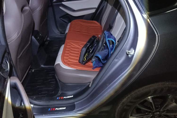 Used BYD Qin PLUS 2023 Champion Edition DM-i 55KM Leading Model Left Rear Seat