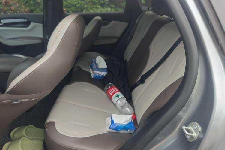 Used BYD Qin PLUS 2023 Champion Edition DM-i 55KM Leading Model Left Rear Seat