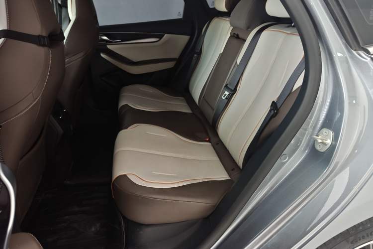 Used BYD Qin PLUS 2023 Champion Edition DM-i 120KM Leading Model Left Rear Seat