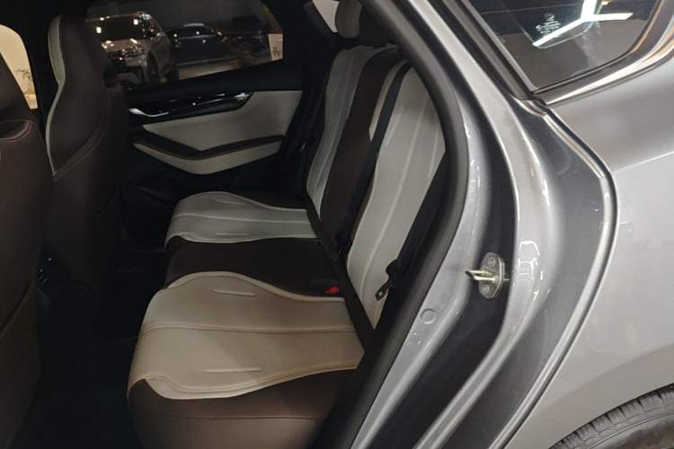 Used BYD Qin PLUS 2023 DM-i 120KM Navigation Excellence Model Left Rear Seat