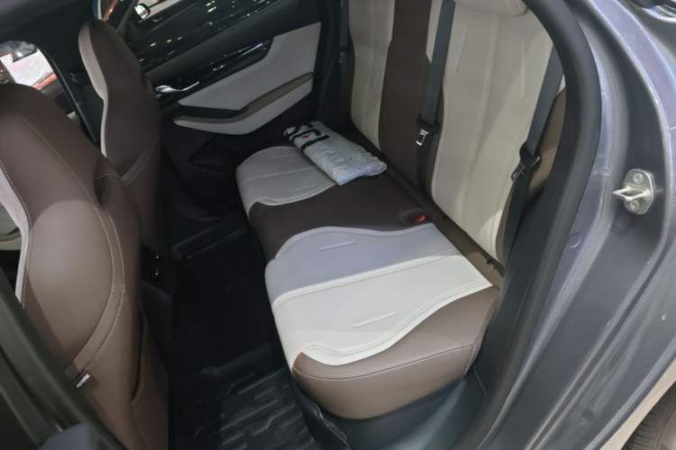 Used BYD Qin PLUS 2023 Champion Edition DM-i 55KM Leading Model Left Rear Seat