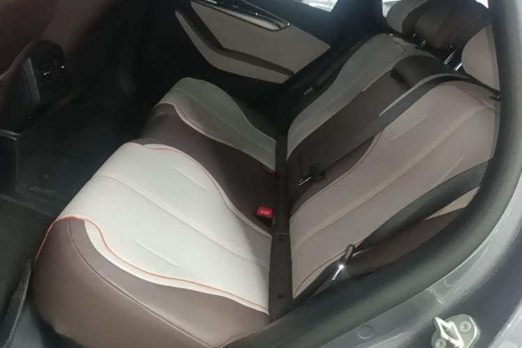 Used BYD Qin PLUS 2023 Champion Edition EV 420KM Superior Model Left Rear Seat