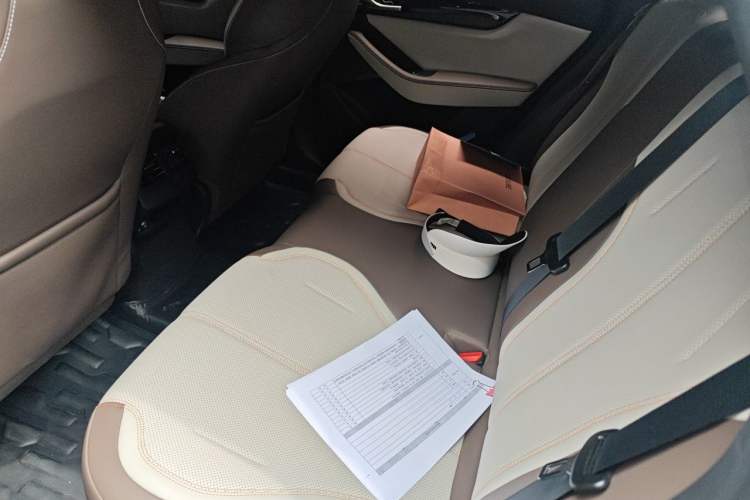 Used BYD Qin PLUS 2023 Champion Edition DM-i 55KM Leading Model Left Rear Seat