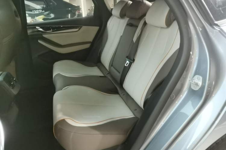 Used BYD Qin PLUS 2023 Champion Edition DM-i 120KM Leading Model Left Rear Seat