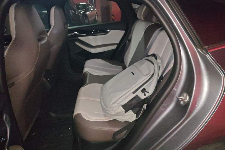 Used BYD Qin PLUS 2023 Champion Edition DM-i 55KM Leading Model Left Rear Seat
