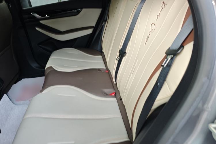 Used BYD Qin PLUS 2023 Champion Edition DM-i 55KM Leading Model Left Rear Seat