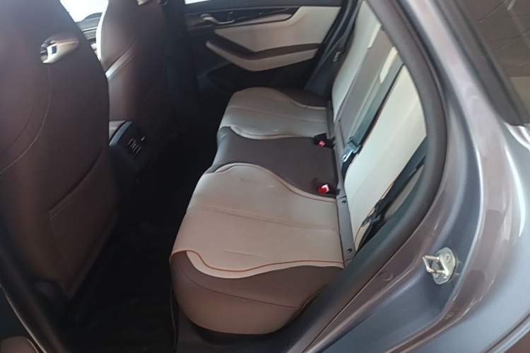 Used BYD Qin PLUS 2023 Champion Edition EV 420KM Leading Model Left Rear Seat