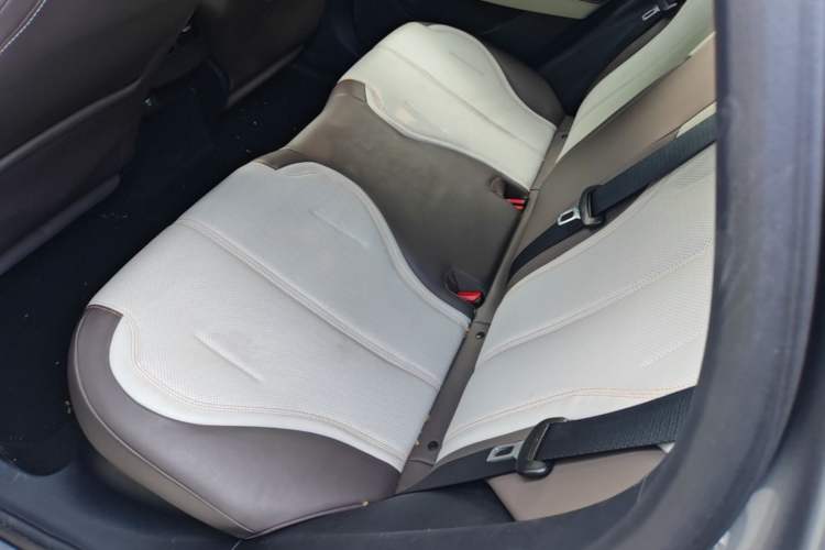 Used BYD Qin PLUS 2023 Champion Edition DM-i 55KM Leading Model Left Rear Seat