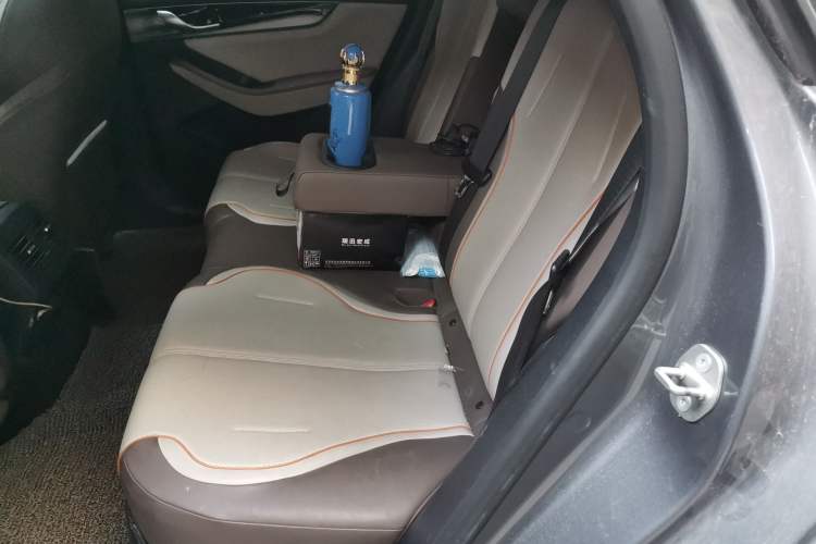 Used BYD Qin PLUS 2023 Champion Edition DM-i 120KM Leading Model Left Rear Seat