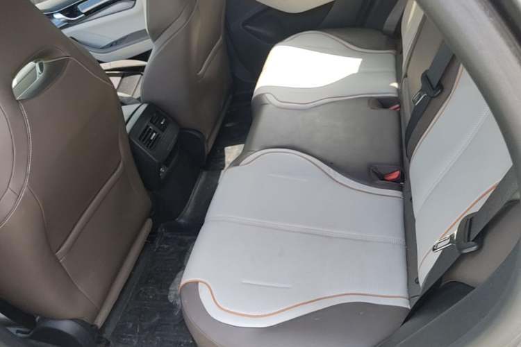 Used BYD Qin PLUS 2023 Champion Edition DM-i 120KM Excellence Model Left Rear Seat