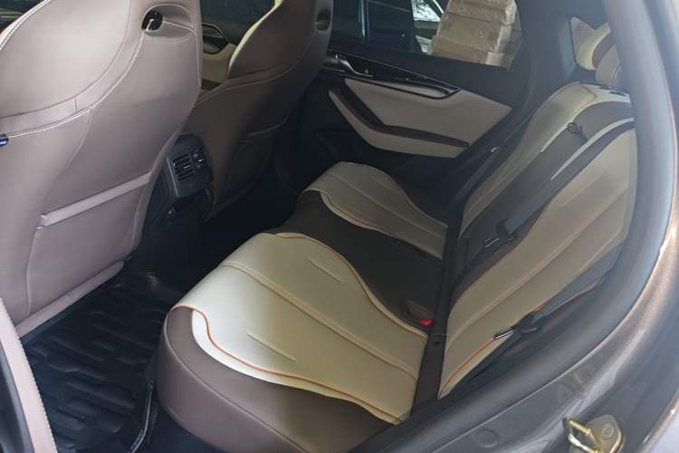 Used BYD Qin PLUS 2023 Champion Edition DM-i 55KM Superior Model Left Rear Seat