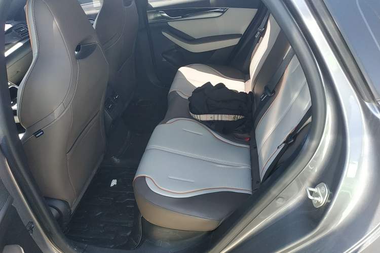Used BYD Qin PLUS 2023 Champion Edition DM-i 120KM Leading Model Left Rear Seat