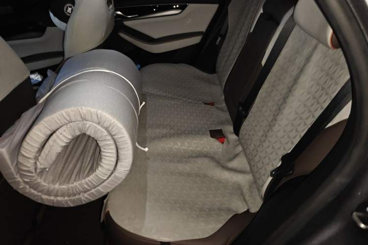 Used BYD Qin PLUS 2023 Champion Edition EV 510KM Leading Model Left Rear Seat