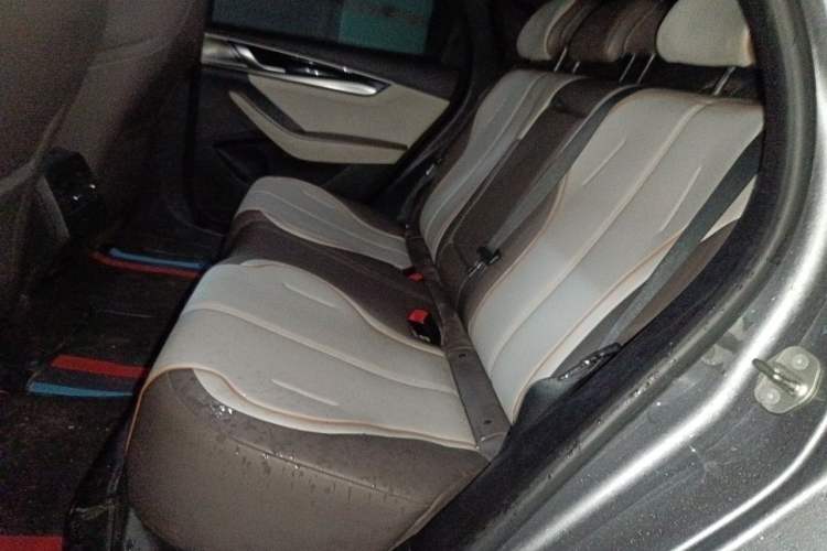 Used BYD Qin PLUS 2023 Champion Edition EV 510KM Leading Model Left Rear Seat