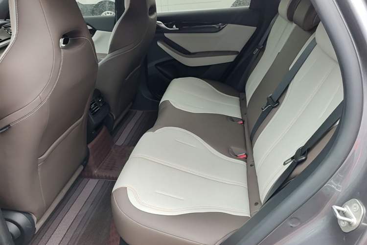 Used BYD Qin PLUS 2023 Champion Edition DM-i 55KM Leading Model Left Rear Seat