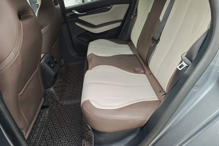 Used BYD Qin PLUS 2023 Champion Edition DM-i 55KM Leading Model Left Rear Seat