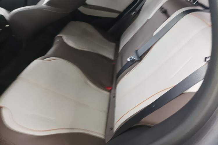 Used BYD Qin PLUS 2023 Champion Edition DM-i 120KM Leading Model Left Rear Seat
