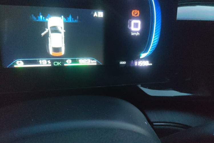 Used BYD Qin PLUS 2023 Champion Edition DM-i 55KM Leading Model Odometer Close Up
