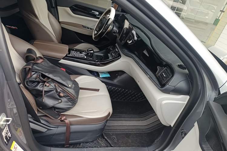 Used BYD Qin PLUS 2023 Champion Edition DM-i 55KM Leading Model Right Front Seat