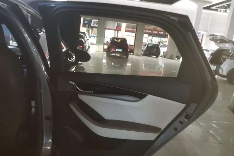 Used BYD Qin PLUS 2023 Champion Edition DM-i 120KM Leading Model Right Rear Door Interior