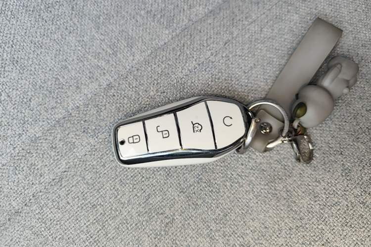 Used BYD Qin PLUS 2023 Champion Edition DM-i 55KM Leading Model Vehicle Key