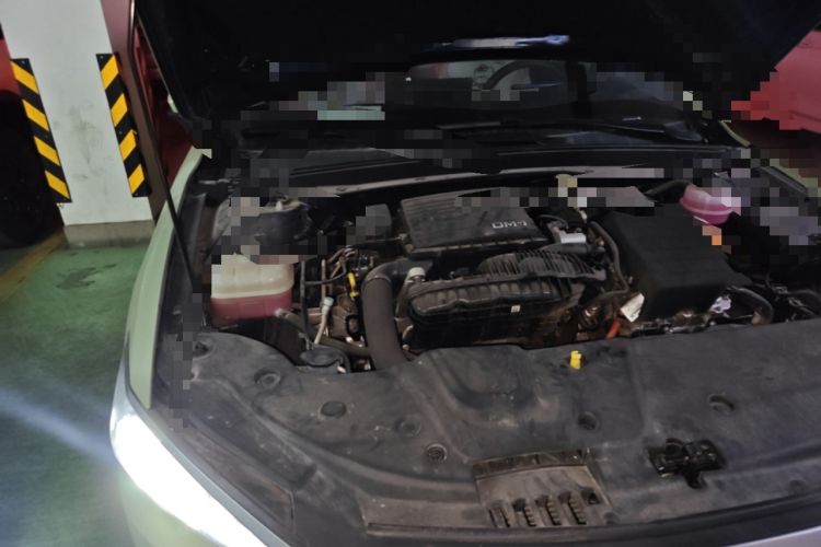 Used BYD Qin PLUS 2023 Champion Edition DM-i 55KM Leading Model Engine Bay Right