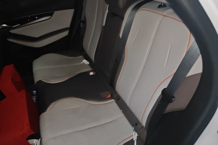 Used BYD Qin PLUS 2023 Champion Edition DM-i 120KM Excellence Model Left Rear Seat