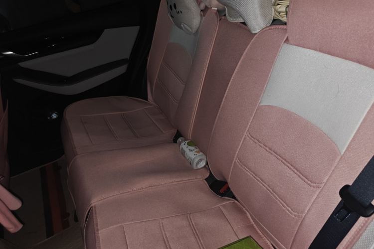 Used BYD Qin PLUS 2023 Champion Edition DM-i 55KM Leading Model Left Rear Seat