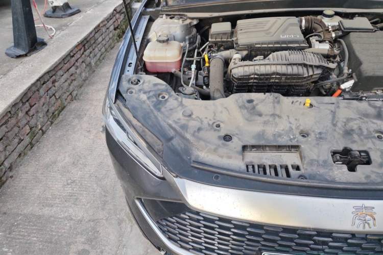 Used BYD Qin PLUS 2023 Champion Edition DM-i 55KM Leading Model Engine Bay Right