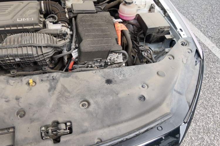Used BYD Qin PLUS 2023 Champion Edition DM-i 120KM Leading Model Engine Bay Left
