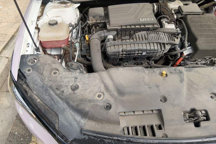 Used BYD Qin PLUS 2023 Champion Edition DM-i 120KM Leading Model Engine Bay Right