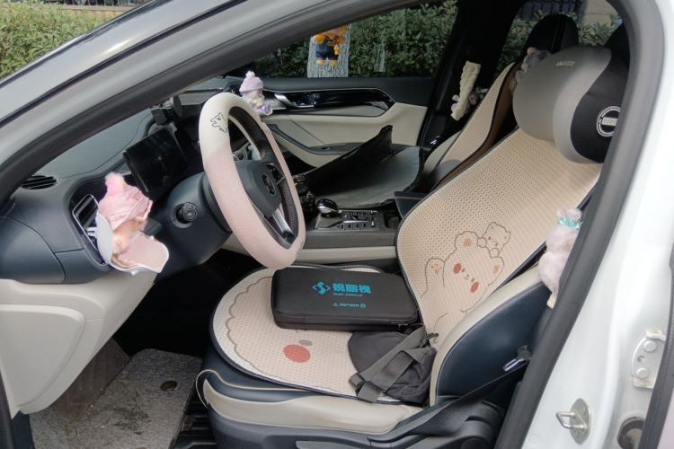 Used BYD Qin PLUS 2023 Champion Edition DM-i 120KM Leading Model Left Front Seat