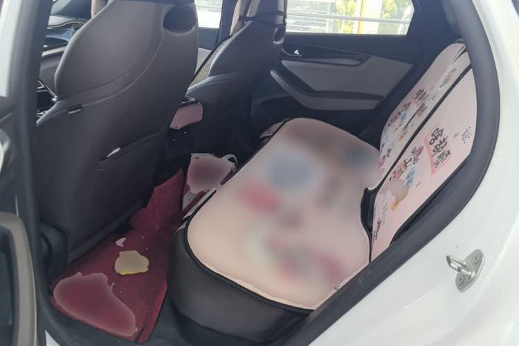 Used BYD Qin PLUS 2023 Champion Edition EV 420KM Leading Model Left Rear Seat