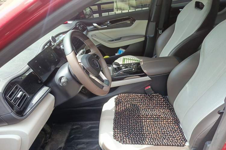 Used BYD Qin PLUS 2023 Champion Edition DM-i 55KM Leading Model Left Front Seat