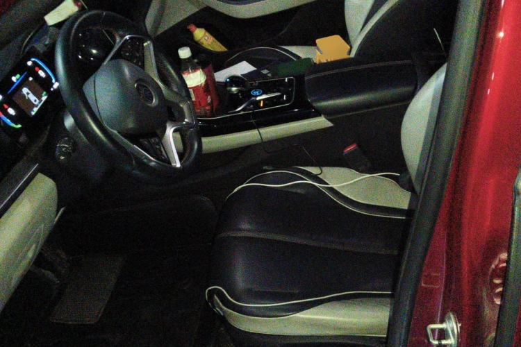 Used BYD Qin PLUS 2023 Champion Edition EV 510KM Leading Model Left Front Seat