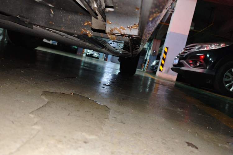 Used BYD Qin PLUS 2023 Champion Edition EV 420KM Leading Model Chassis Front Left