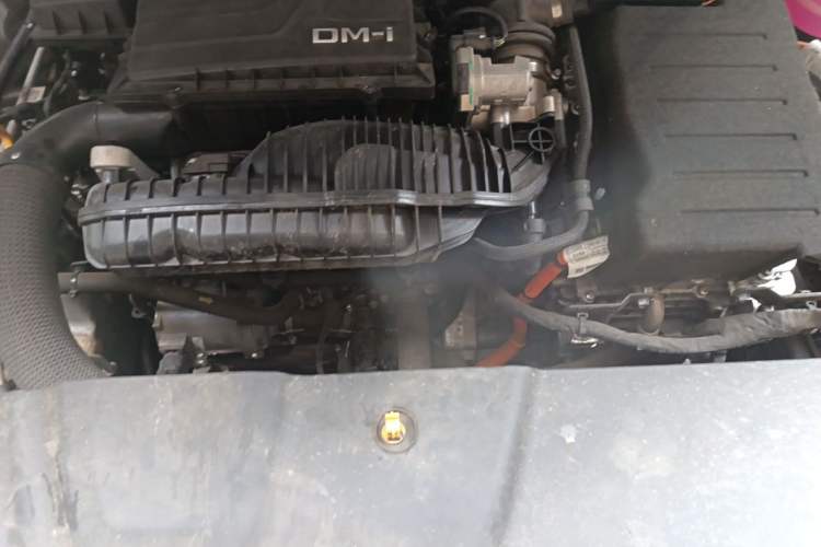Used BYD Qin PLUS 2023 Champion Edition DM-i 55KM Leading Model Engine Bay