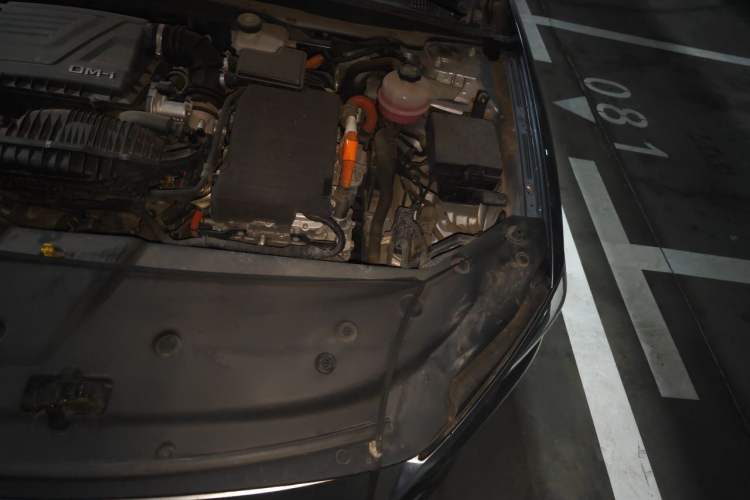 Used BYD Qin PLUS 2023 Champion Edition DM-i 55KM Superior Model Engine Bay Left
