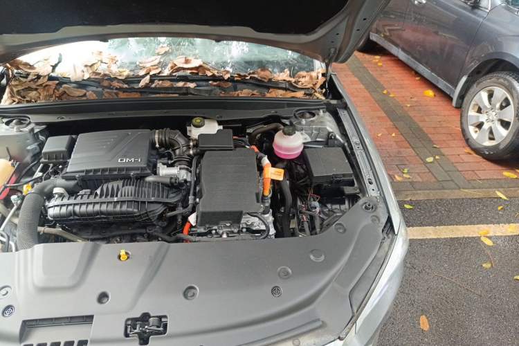 Used BYD Qin PLUS 2023 Champion Edition DM-i 55KM Leading Model Engine Bay Left