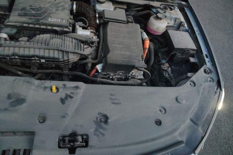 Used BYD Qin PLUS 2023 Champion Edition DM-i 55KM Leading Model Engine Bay Left