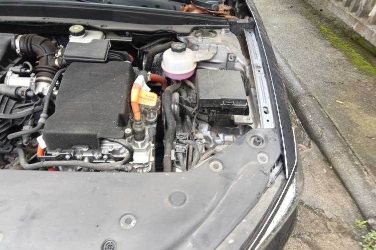 Used BYD Qin PLUS 2023 Champion Edition DM-i 55KM Leading Model Engine Bay Left