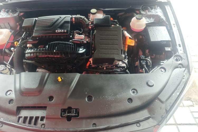 Used BYD Qin PLUS 2023 Champion Edition DM-i 55KM Superior Model Engine Bay Left