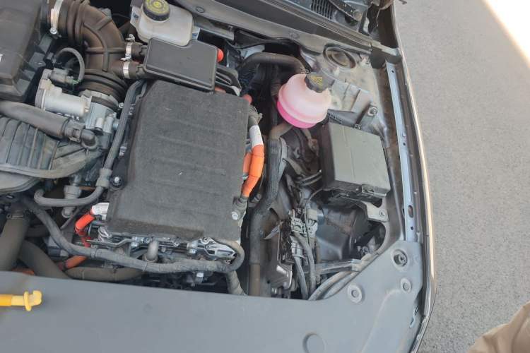 Used BYD Qin PLUS 2023 Champion Edition DM-i 55KM Leading Model Engine Bay Left